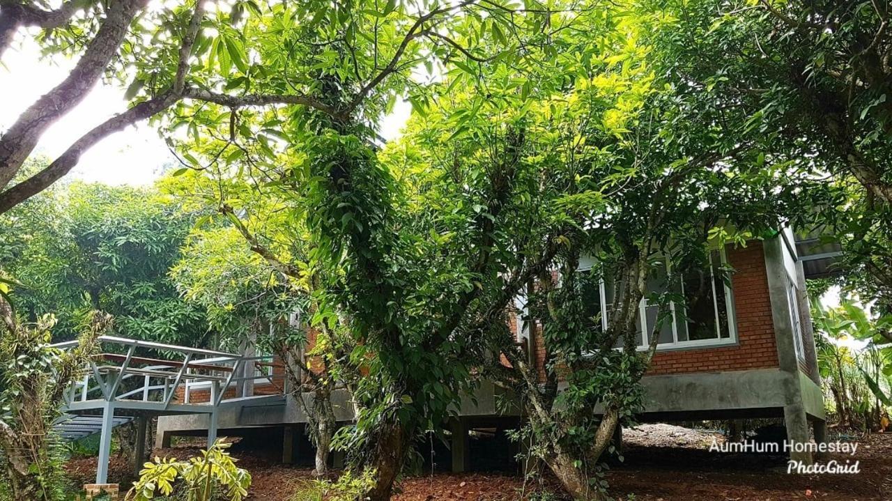 Aum Hum Homestay Fang Екстер'єр фото