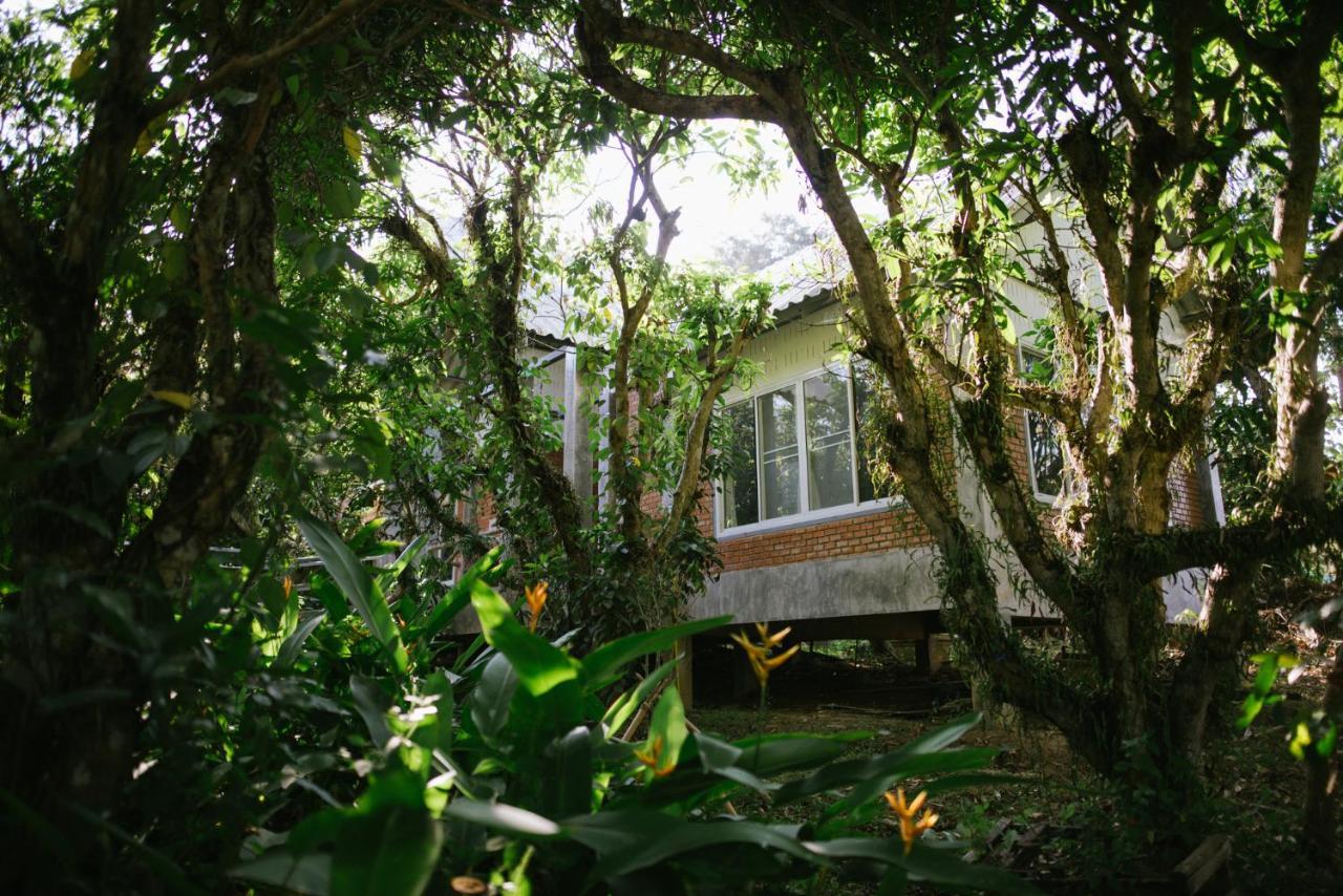 Aum Hum Homestay Fang Екстер'єр фото