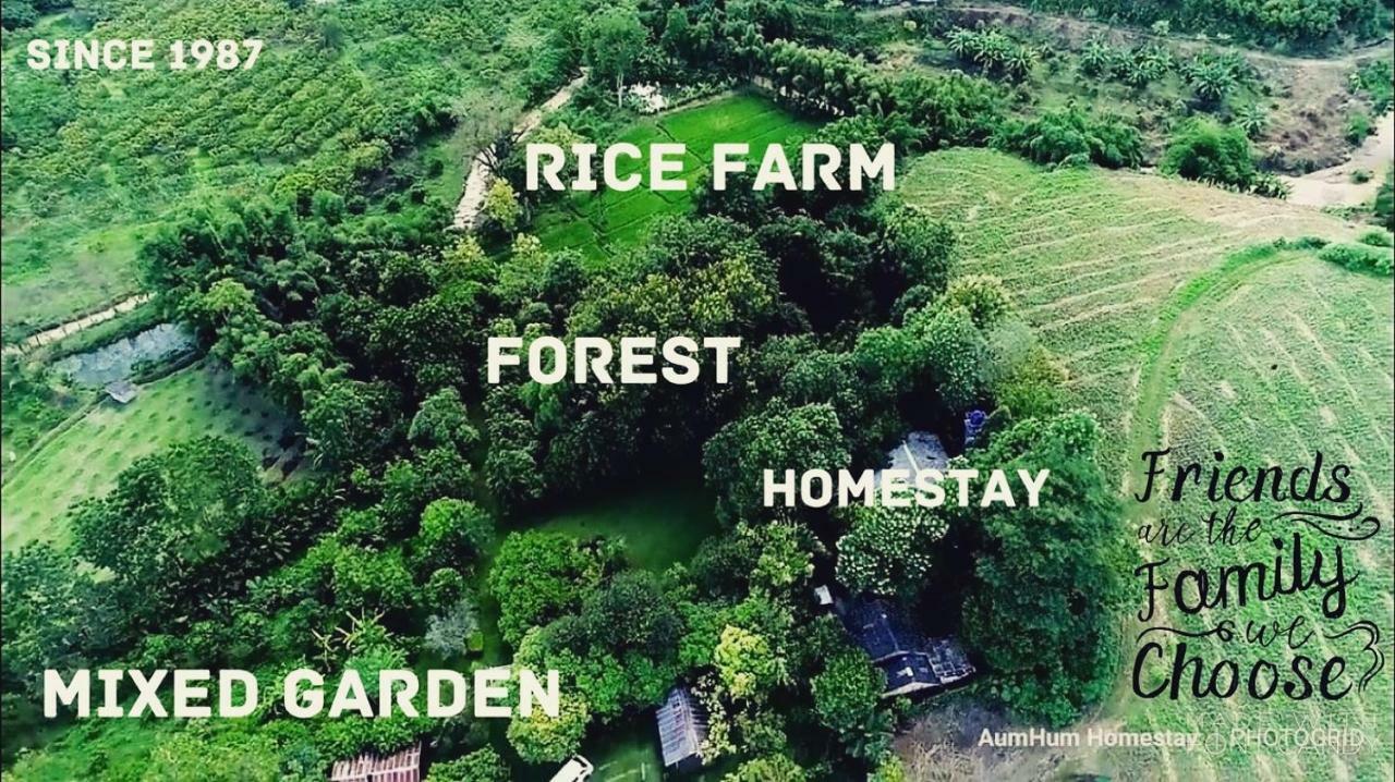 Aum Hum Homestay Fang Екстер'єр фото